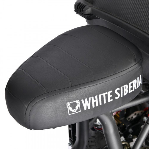 Электроскутер White Siberia TRIKE MINI 1500W в Магнитогорске