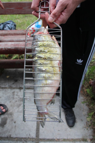 Решетка для рыбы в Магнитогорске