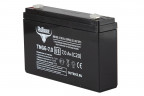 Тяговый гелевый аккумулятор RuTrike TNG 6-7.0 (6V7.0 A/H C20) в Магнитогорске