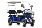 Пассажирский электротрицикл Rutrike Gelbert Hara в Магнитогорске