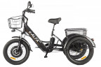 Электрофэтбайк Eltreco Green City e-ALFA Trike в Магнитогорске