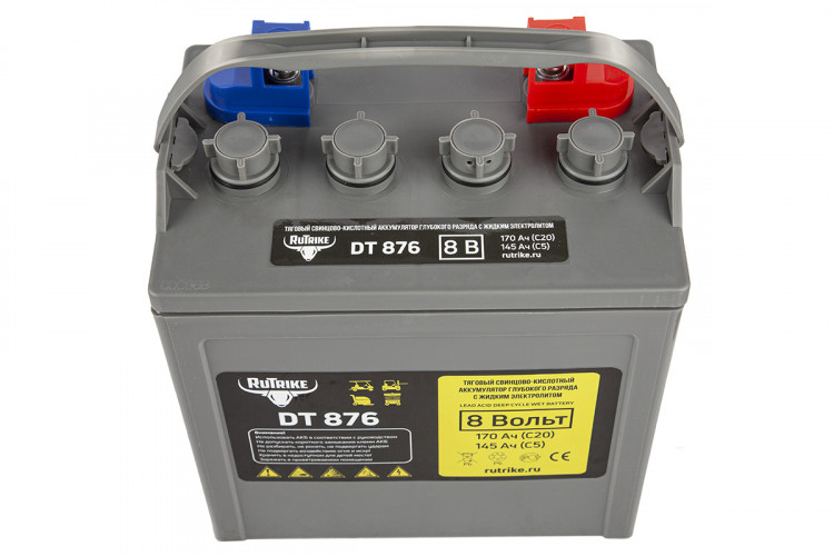 Тяговый аккумулятор RuTrike WET DT876 (T-875) 8V120A/H C3 в Магнитогорске